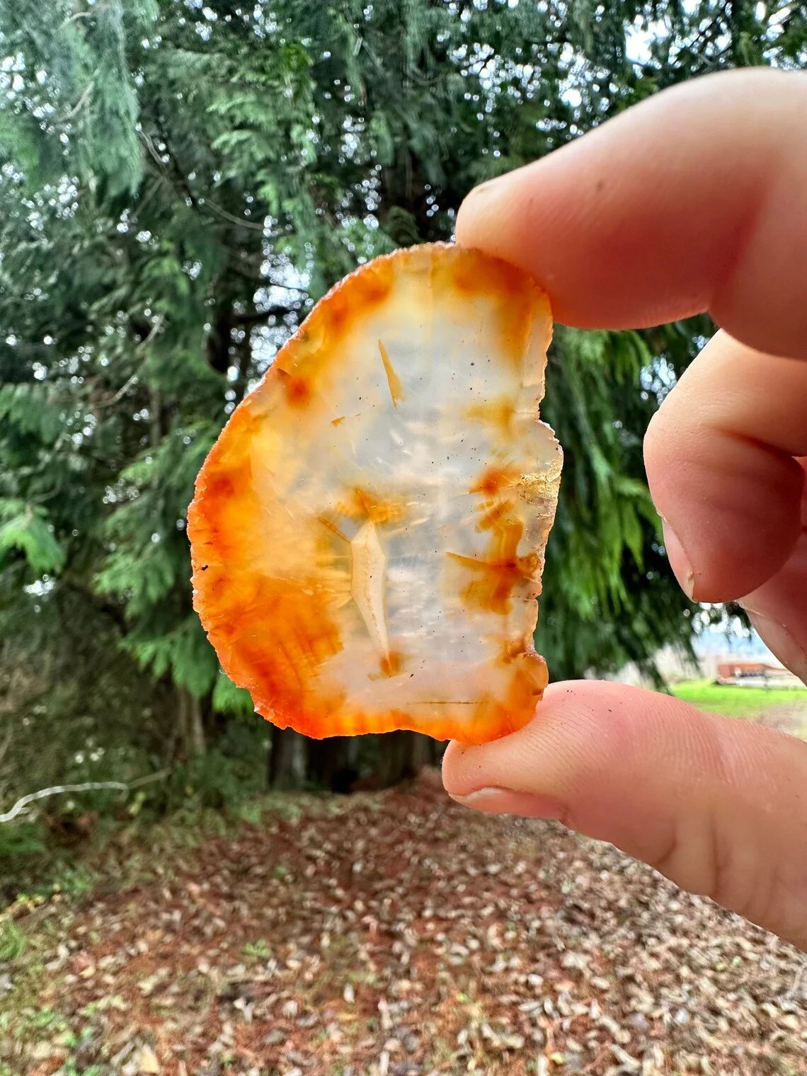 Hand holding translucent carnelian agate slab