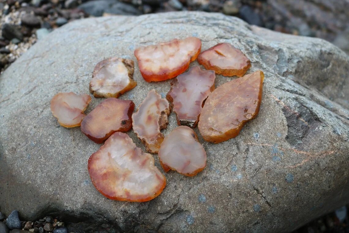 Washington carnelian agate rock slabs